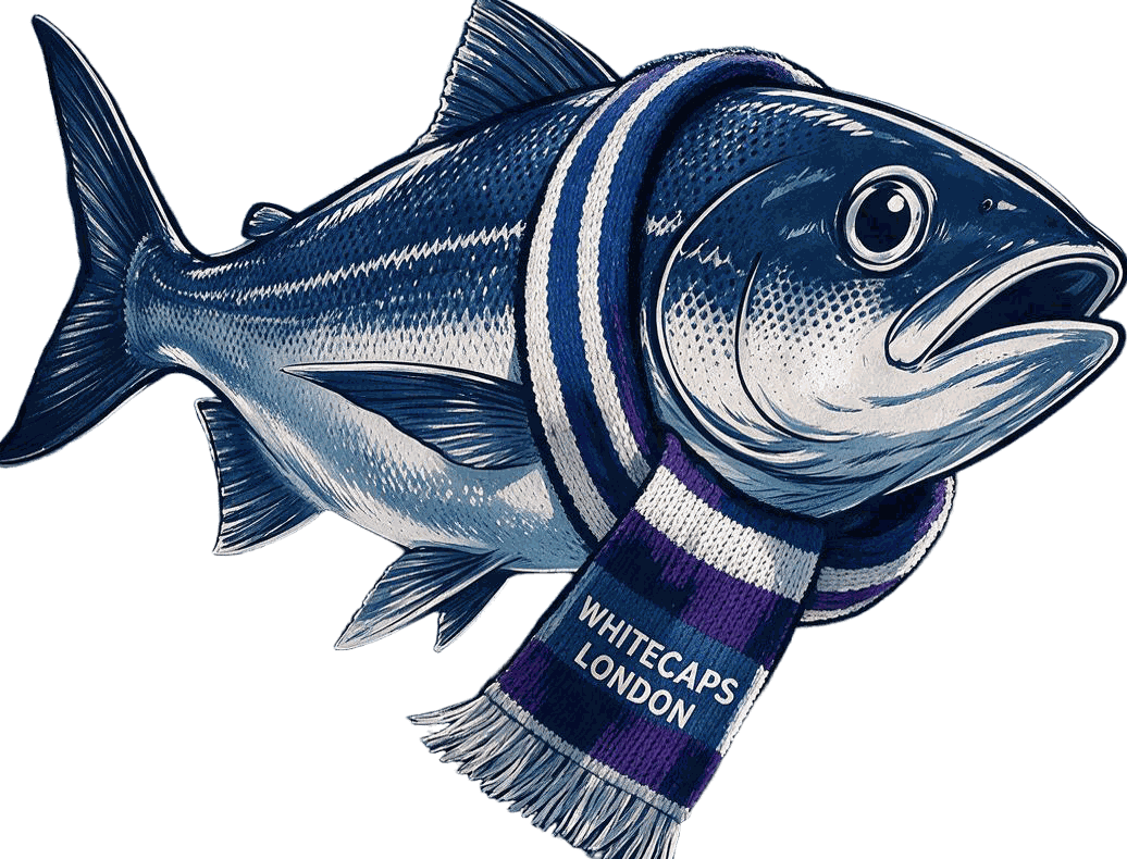 An illustrated fish swimming against the current, wearing a Whitecaps London scarf